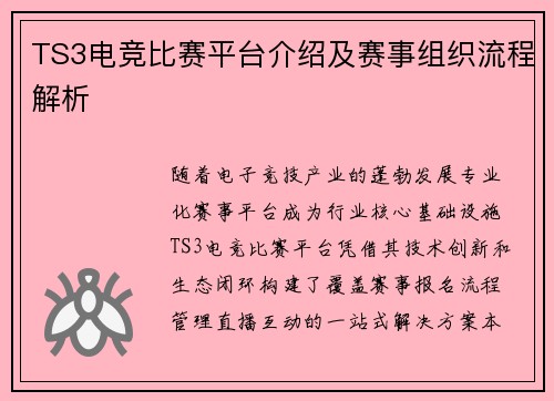 TS3电竞比赛平台介绍及赛事组织流程解析